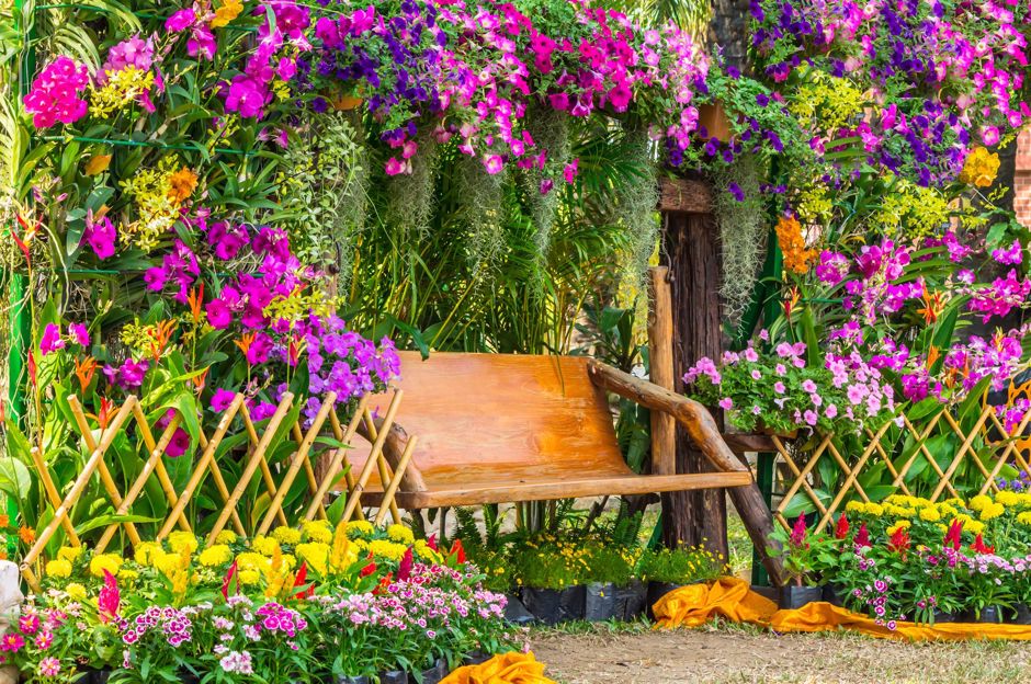 Voňavá záhrada: kvety a kríky s najkrajšou vôňou