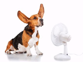 Viete, ako správne vetrať?