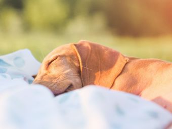 Relaxujte doma 1. časť - relax na záhrade