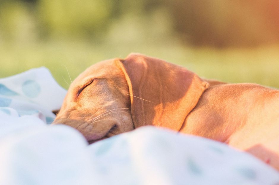 Relaxujte doma 1. časť - relax na záhrade