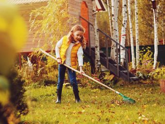 November na záhrade - ako najlepšie zazimovať úžitkovú záhradu
