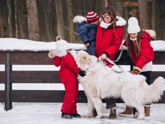 Ako sa zabaviť v zime: Zimné outdoorové aktivity pre celú rodinu