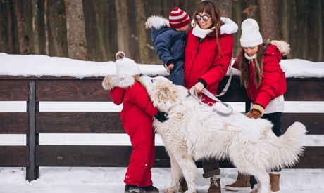 Ako sa zabaviť v zime: Zimné outdoorové aktivity pre celú rodinu