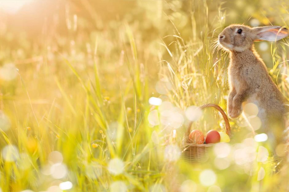 Ako osláviť Veľkú noc doma?