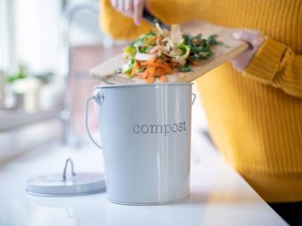 Ako začať s kompostom: vermikompostér môžete mať aj v byte